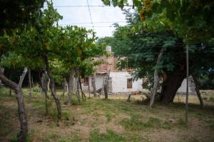 Zahrada ubytování Cerco del Trigo + 37 fotografií