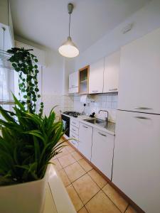 a kitchen with white cabinets and a potted plant at Foce24 - City Garden - in Imperia