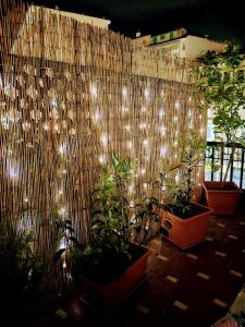 a fence with a bunch of plants and lights at Foce24 - City Garden - in Imperia