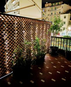 a retaining wall with plants on a balcony at Foce 24 - City Garden 2 - in Imperia +3 photos
