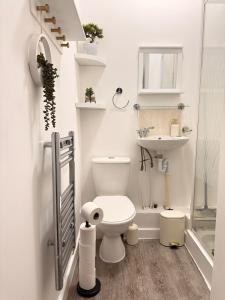 a bathroom with a toilet and a sink at The Lavender City Stay in Chesterton