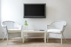 TV a/nebo společenská místnost v ubytování Penzion Apartmány Hradební