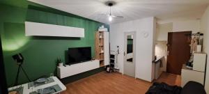 a living room with a green wall with a flat screen tv at Charmant studio à Castres in Castres