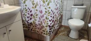 a bathroom with a toilet and a shower curtain at Cabaña la colina in Castro