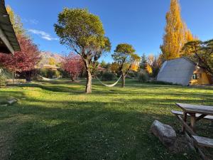 波特雷里约斯CABAÑAS RINCON DEL PLATA的一个带野餐桌和树的公园