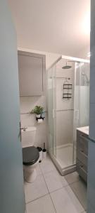 une salle de bain avec une douche, des toilettes et un lavabo dans l'établissement superbe studio avec piscine, ascenseur et accès direct sur le port, au Cap d'Agde 10 autres photos