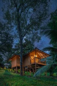 een huis midden in een bos 's nachts bij De Spicewoods, AC Cabin, Pool, Couple only in Kalpatta