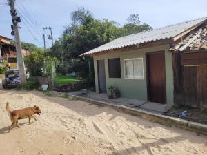 a dog walking on a dirt road in front of a house at Tatiane cristino in Imbituba
