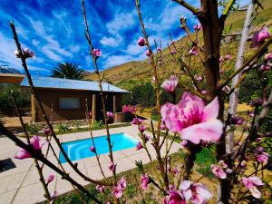 Bazén v ubytování Piuquenes Lodge - Cabañas, Viñedos y estrellas en Horcón, Valle de Elqui nebo v jeho okolí