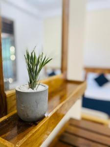 Voodi või voodid majutusasutuse Natraj Guest House toas
