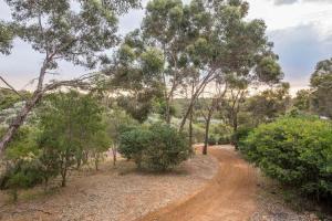 a dirt road in a forest with trees and bushes at Wildwood Views Yallingup hills in Yallingup