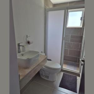 ein Badezimmer mit Toilette, Waschbecken und Dusche in der Unterkunft Comodo departamento en Barra Vieja Acapulco in Acapulco