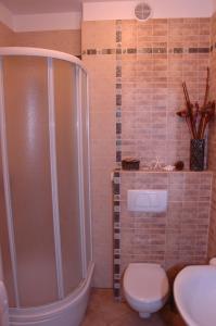 un bagno con doccia, WC e lavandino di Apartament Przy Promenadzie a Świnoujście Altre 21 foto