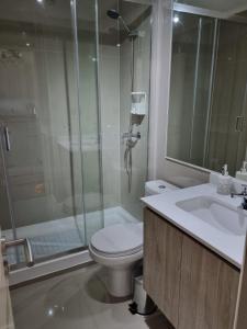 a bathroom with a shower and a toilet and a sink at Departamento centro Temuco in Temuco +26 photos