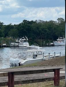 una barca è ormeggiata presso un molo con altre imbarcazioni di Casa compartida vacacional a La Belle