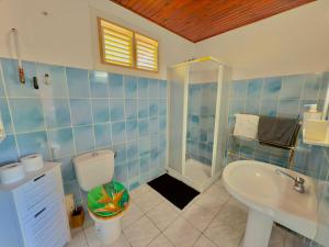 a bathroom with a shower and a toilet and a sink at T2 - 50m du bourg de Sainte-Anne in Sainte-Anne +6 photos