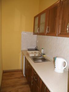 a kitchen with a sink and wooden cabinets at Art-Mont in Kraków