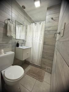 une salle de bain avec toilettes, douche et lavabo dans l'établissement La Cascaruda Suites y Deptos, à Perito Moreno 80 autres photos