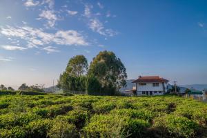Fotografie z fotogalerie ubytování The Misty Meadows v destinaci Coonoor