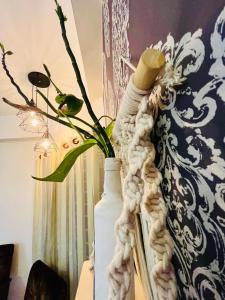 Gallery image of Oasis - The Urban Hideaway in Guwahati