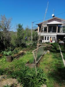 a house with a garden in front of it at La Succulente Vivace in Cambounès +12 photos