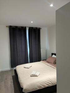 En eller flere senge i et værelse på Annecy Naila's apartement + 38 billeder