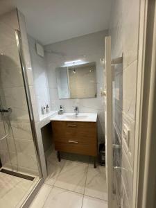 a bathroom with a sink and a shower at Annecy Naila's apartement in Annecy +38 photos