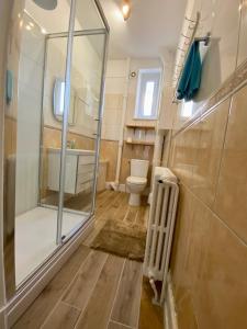 ein Badezimmer mit Dusche und Toilette in der Unterkunft Les 2 suites de Belfort 184m2 Centre Parkings in Belfort