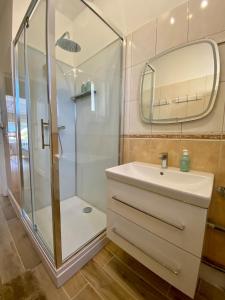 ein Badezimmer mit Waschbecken und Dusche in der Unterkunft Les 2 suites de Belfort 184m2 Centre Parkings in Belfort + 31 Fotos