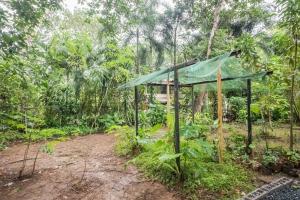Zahrada ubytování JIVA Nest Self-Service Tiny Home in Rainforest Nest with Kitchen - WiFi, Monkeys, Bats!