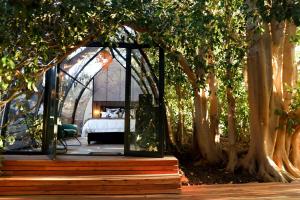 a bedroom with a bed in a room with trees at De Nest - Clear Glass Tree Cabin in Montagu