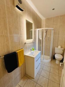 a bathroom with a shower and a sink and a toilet at HarbourView House Killaloes Newest Holiday Home in Killaloe
