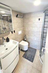 a bathroom with a sink and a toilet at Studio Gea in Semedela