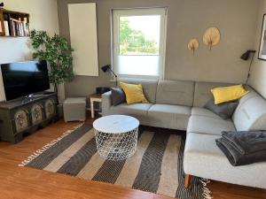 a living room with a couch and a tv at Ferienhaus Solken mit großer Terrasse und Kaminofen in Plau am See +21 photos