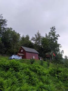 Phong cảnh thiên nhiên gần nhà gỗ