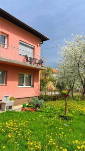 Zahrada ubytování Guest House Bosnian House + 37 fotografií