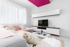 TV a/nebo společenská místnost v ubytování Rooftop Flower Power Apartmant