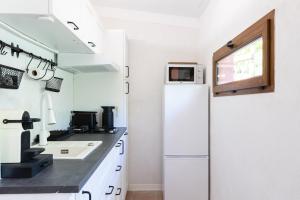 una cocina con frigorífico y fregadero en Studio de Mammo, en Osani