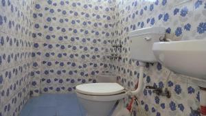 a bathroom with a toilet and a sink at Bhagsunag Nizu Palace in McLeod Ganj