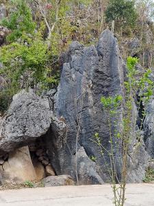 a pile of rocks on a hill with a tree at Nhà Gỗ Cổ homestay Lao xa in Dồng Văn
