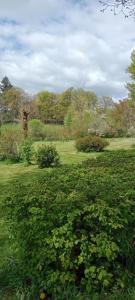 Imagen de la galería de Chambre d'hôte, en Meymac