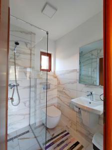 a bathroom with a shower and a toilet and a sink at Pensiunea Potcovaru in Vişeu de Sus