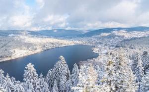 - une vue sur un lac avec des arbres enneigés dans l'établissement La Jonquille, Appartement Centre Ville de Gérardmer, linge et ménage inclus, à Gérardmer