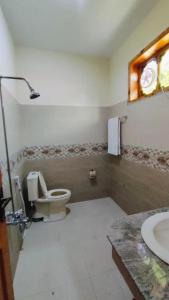 a bathroom with a toilet and a sink at Cherry Orchard Inn in Mastūj