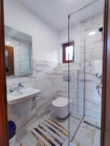 a bathroom with a toilet and a sink at Pensiunea Potcovaru in Vişeu de Sus +22 photos