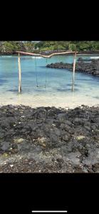 a beach with two trees in the water at Casa mwezi in Memboua Bouani +1 photo