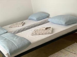 two twin beds with pillows on top of them at Breve Sosta in Santhià