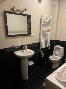 a bathroom with a sink and a toilet and a mirror at European Backpackers Hostel and 大廚房 in Tbilisi City