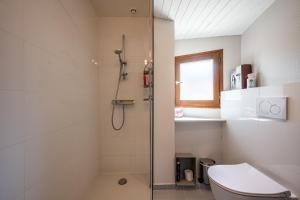 ein Badezimmer mit Dusche und Toilette in der Unterkunft La Maison Marie Andre in Albens + 18 Fotos