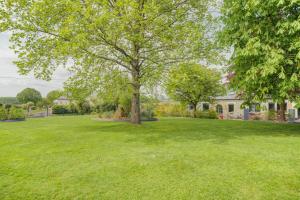 a large yard with a tree in front of a house at La maison de la Rebergère in Javené